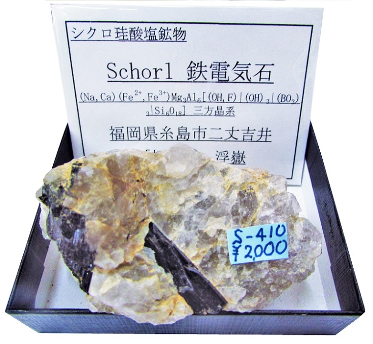 S-410 鉄電気石(Schorl) | 珪酸塩鉱物,西日本,九州地方 | Mineral Shop