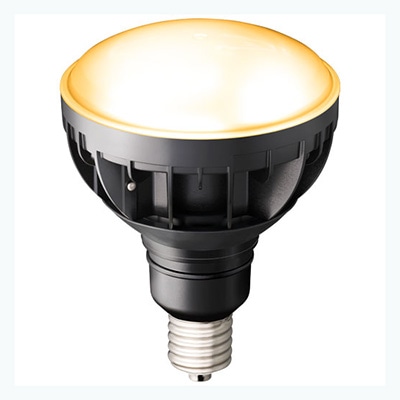 kazari IWASAKI LEDアイランプ 16W 5000K kazari IWASAKI LEDアイ