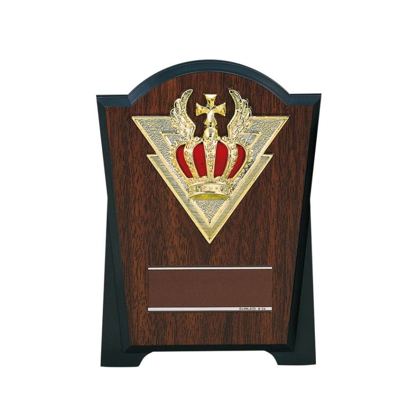 非売品 嵐 盾 楯 嵐 非売品 盾 楯 【公式通販】