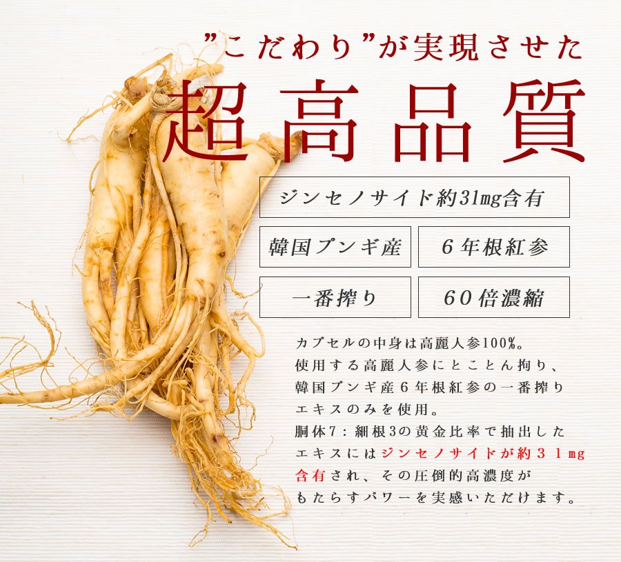 公式 J's Kami高麗90カプセル（270mg×90） 常温 冷蔵可 高濃度 高麗