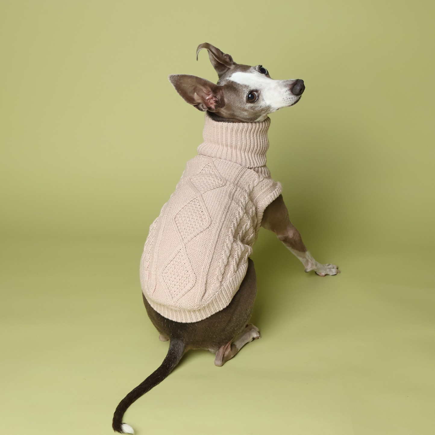 イタグレ服Lunetta コート