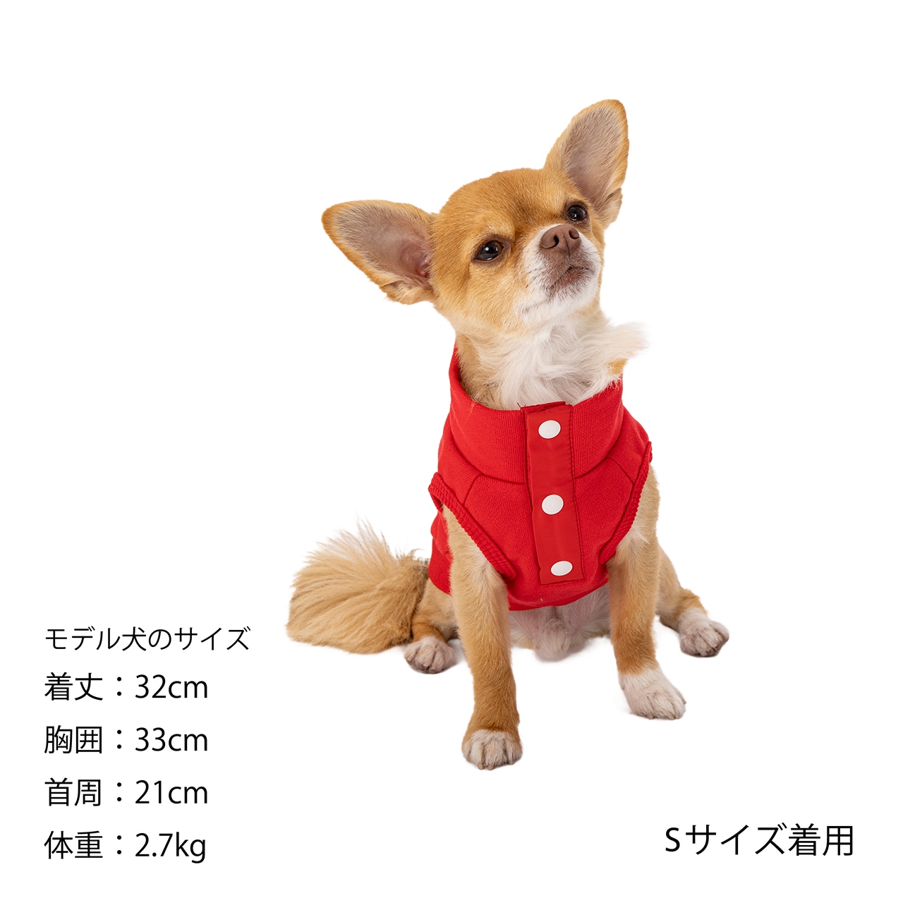 Chi-bee SNAP VEST | WEAR | 犬服 MANDARINE BROTHERS マンダリン