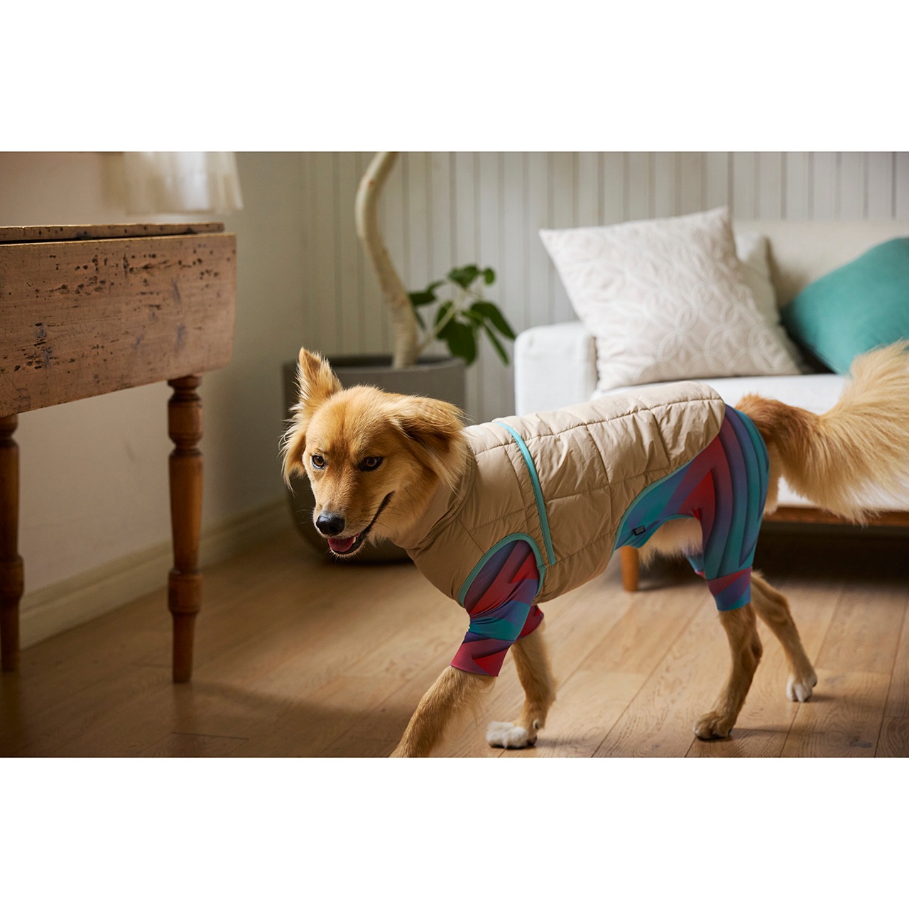 haru♡スーパーライトパフベストグレーL② マンダリンブラザーズ