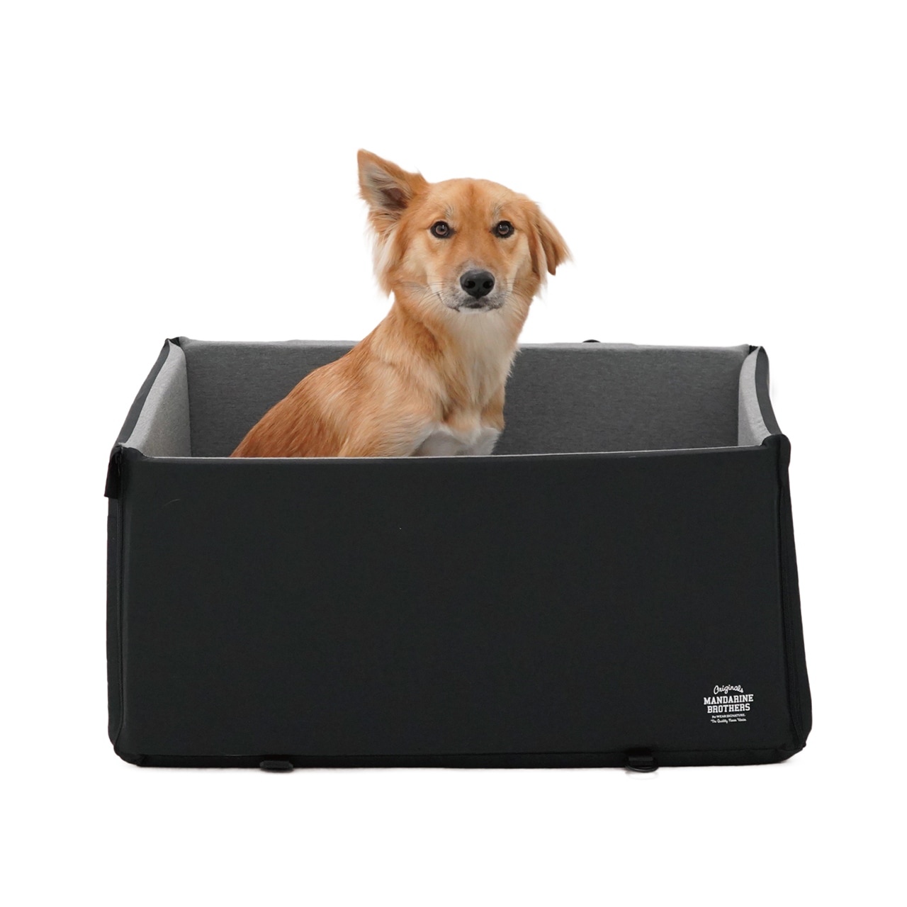 DRIVING CUSHION -WIDE- | DRIVE | 犬服 MANDARINE BROTHERS