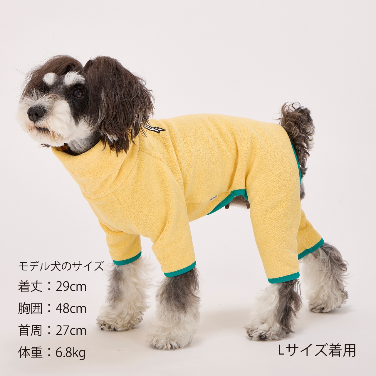 FRAME LOGO BOA SUIT | WEAR | 犬服 MANDARINE BROTHERS マンダリン