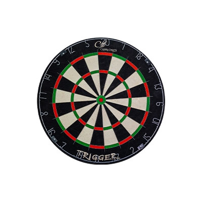 グラン ダーツボード バーニング GRAN DART BOARD BURNING ハード