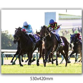 競馬写真パネル ディープインパクト 武豊 3冠馬 Gallop サンケイ