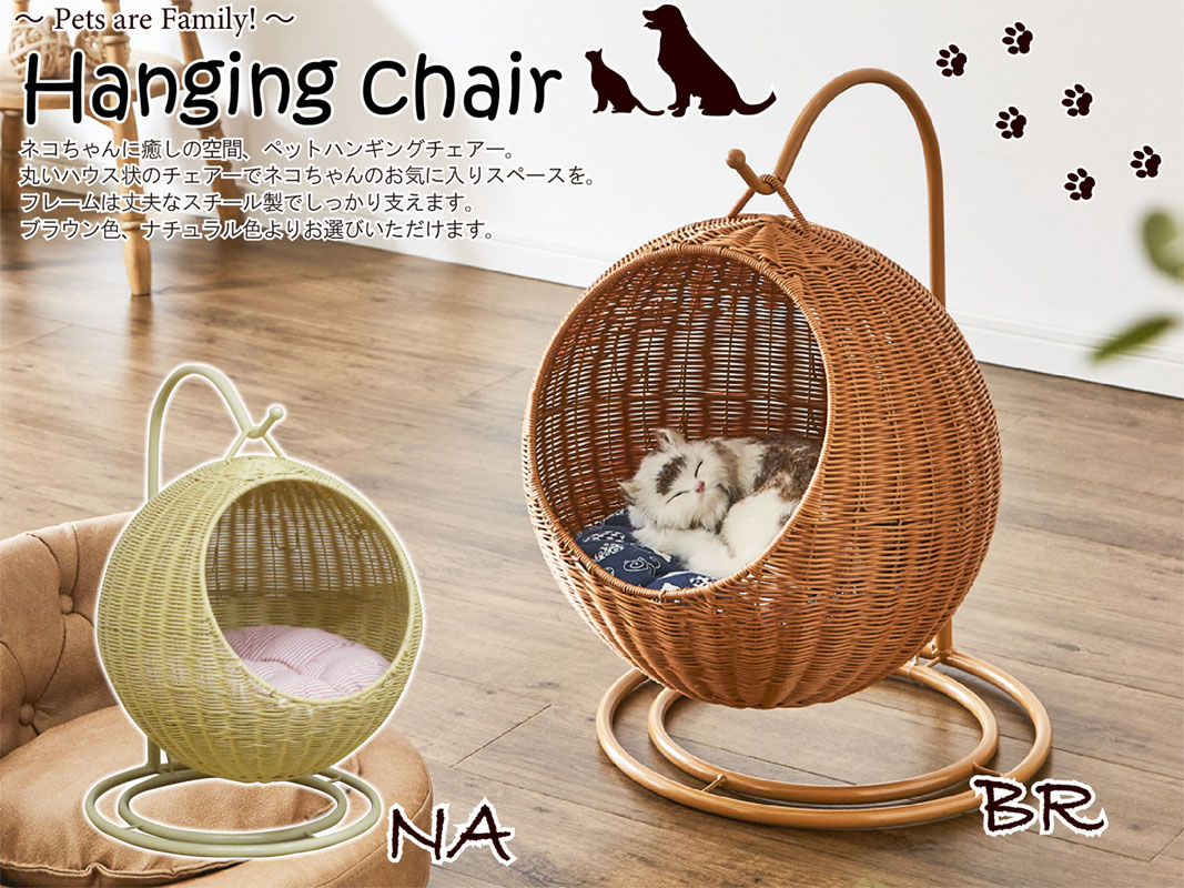 ネコちゃんの癒しの空間を与えるペット用ハンギングチェアー！ | 店舗
