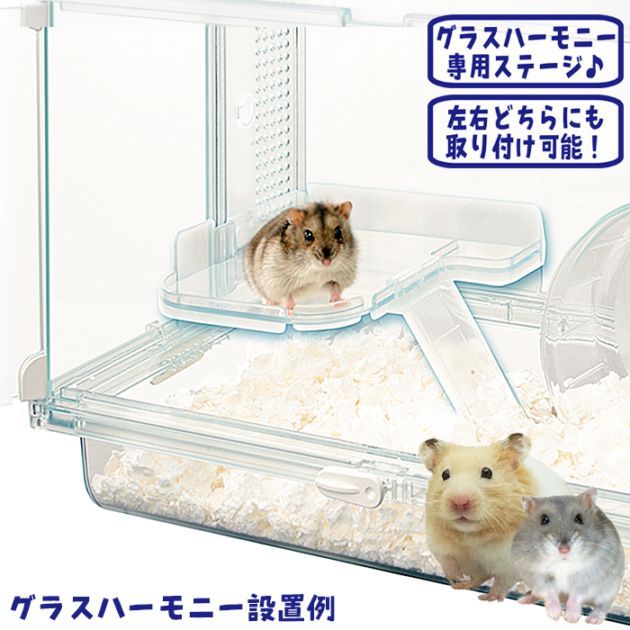 BAL様確認用 ハムスター グラスハーモニー600用 ロフト巣箱 アカシア