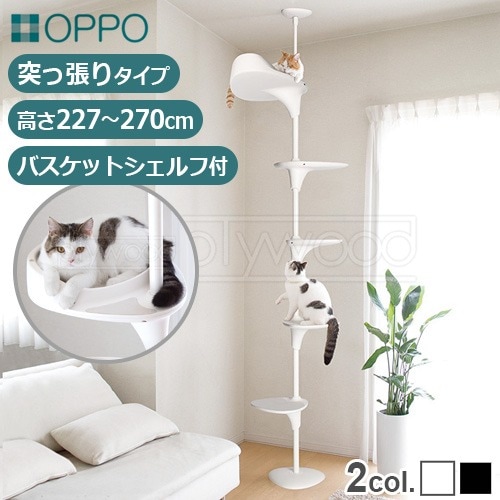 オッポ キャットフォレスト2 OPPO CatForest2 OT-669-702 | 送料無料