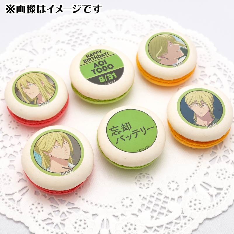 忘却バッテリー 藤堂葵 コレクション 缶バッジ 忘却バッテリー だけ缶