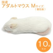 冷凍マウス アダルトLL10匹 国産 SAfarm | 冷凍マウス,アダルト