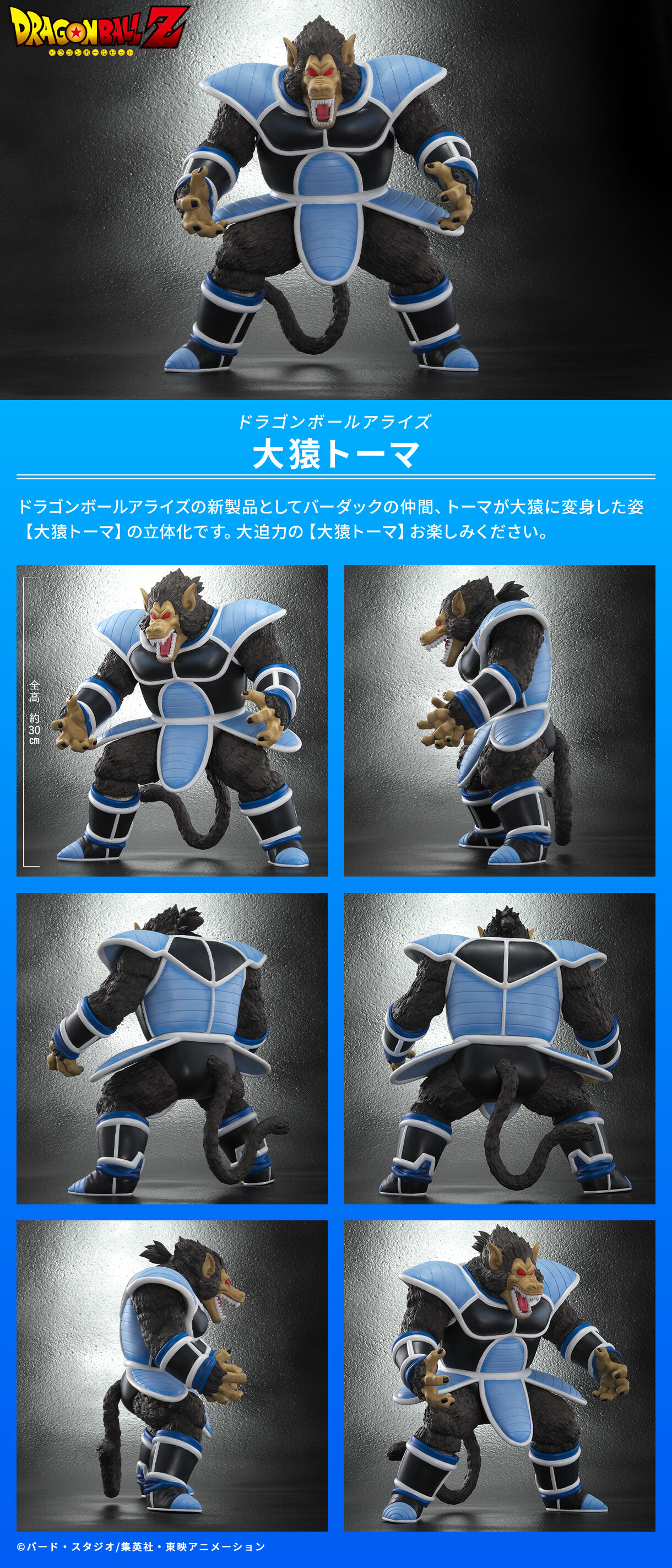 ドラゴンボールアライズ セリパ 大猿バーダックZEEM通販限定特典 2025