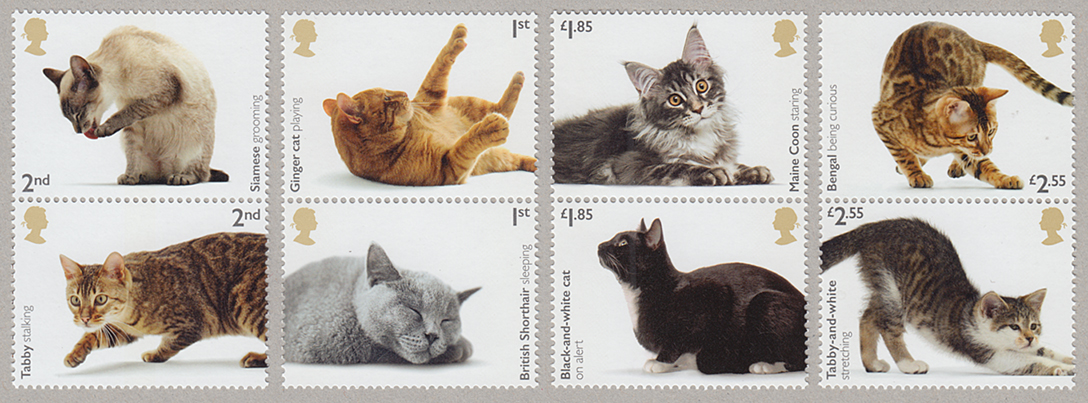 3029 外国切手 オーストラリア 1991年 犬 猫 動物 4種完 3029 外国切手