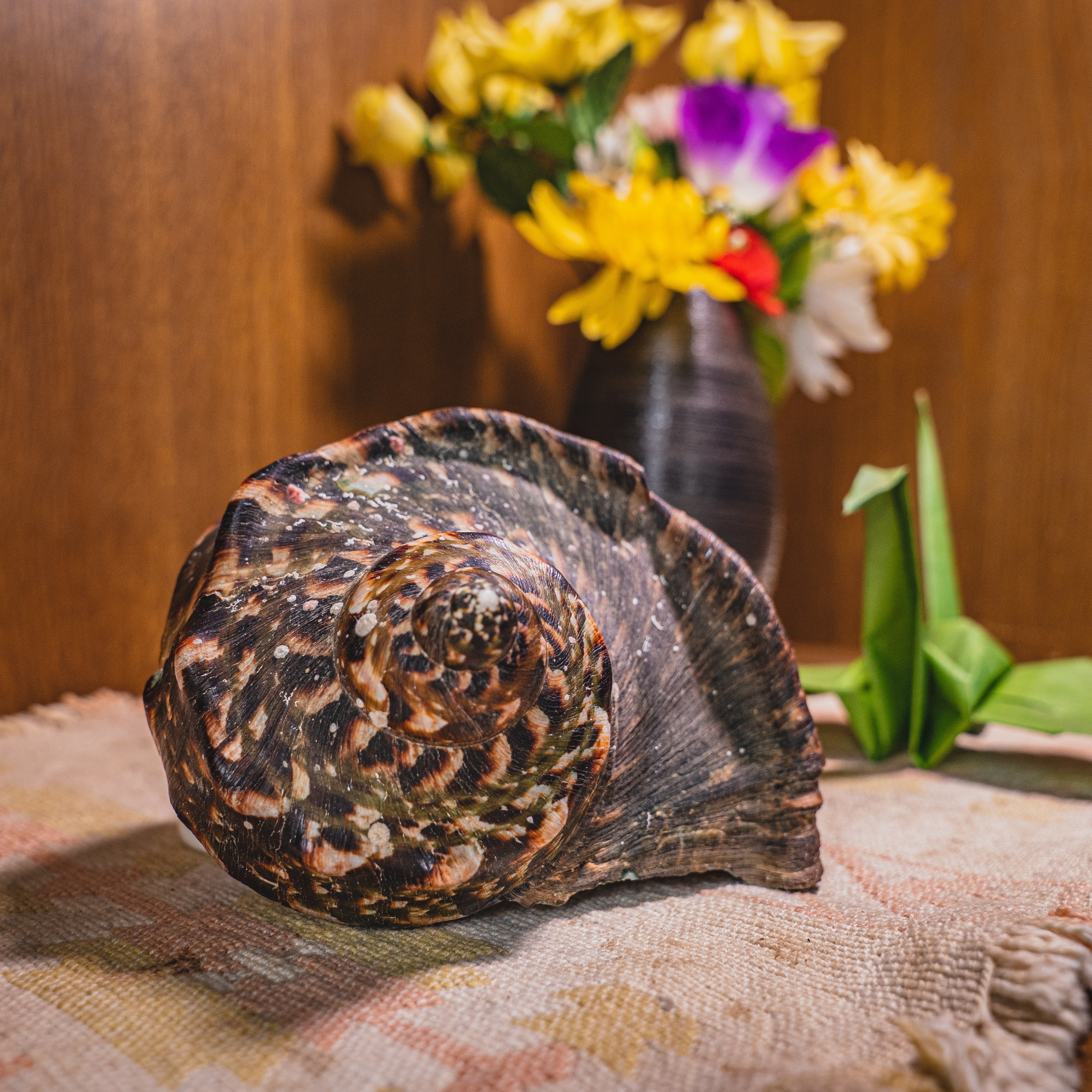 7954】海外 マステ 3/5/巻売り 貝殻光マスキングテープ ハッキング