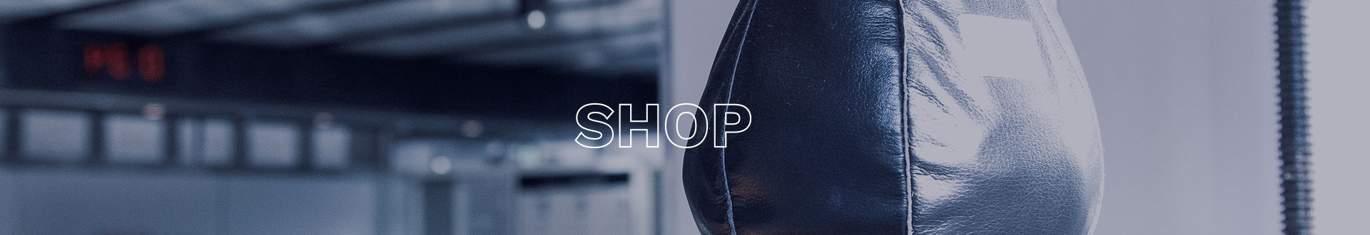 スーパーウィン、SuperWin、パンチンググローブ、キックミット【エイワ