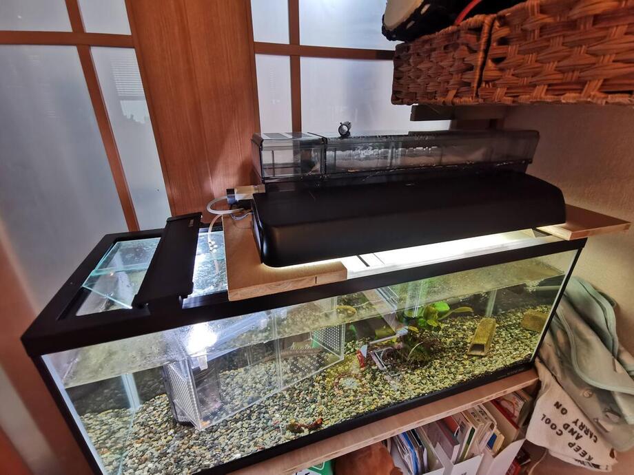 コトブキの90センチ上部フィルター「スーパーターボZプラス」を設置