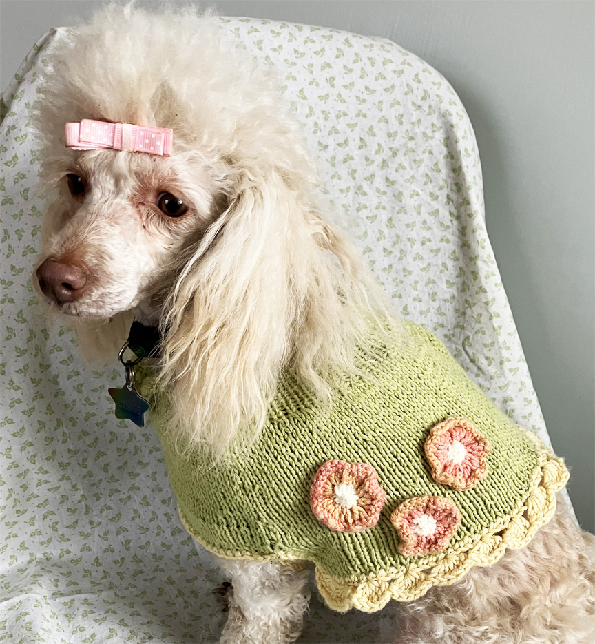 A Knitted Cape for Lynnie – MeadowTree Style