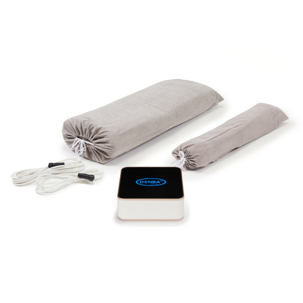 ボディ・フェイスケア DENBA Health Charge ボディ・フェイスケア