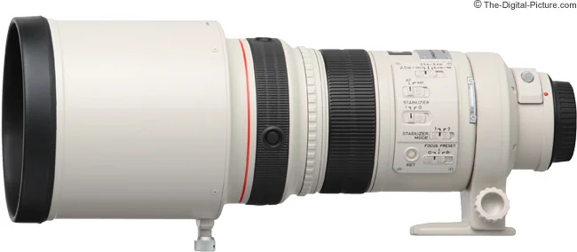 Canon EF 300mm f/2.8L IS USM Lens Review