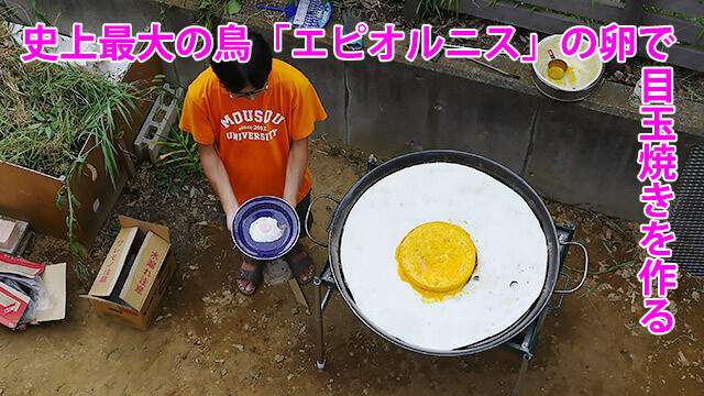 疲労回復＆防止に！】史上最大の鳥「エピオルニス」の卵で目玉焼きを