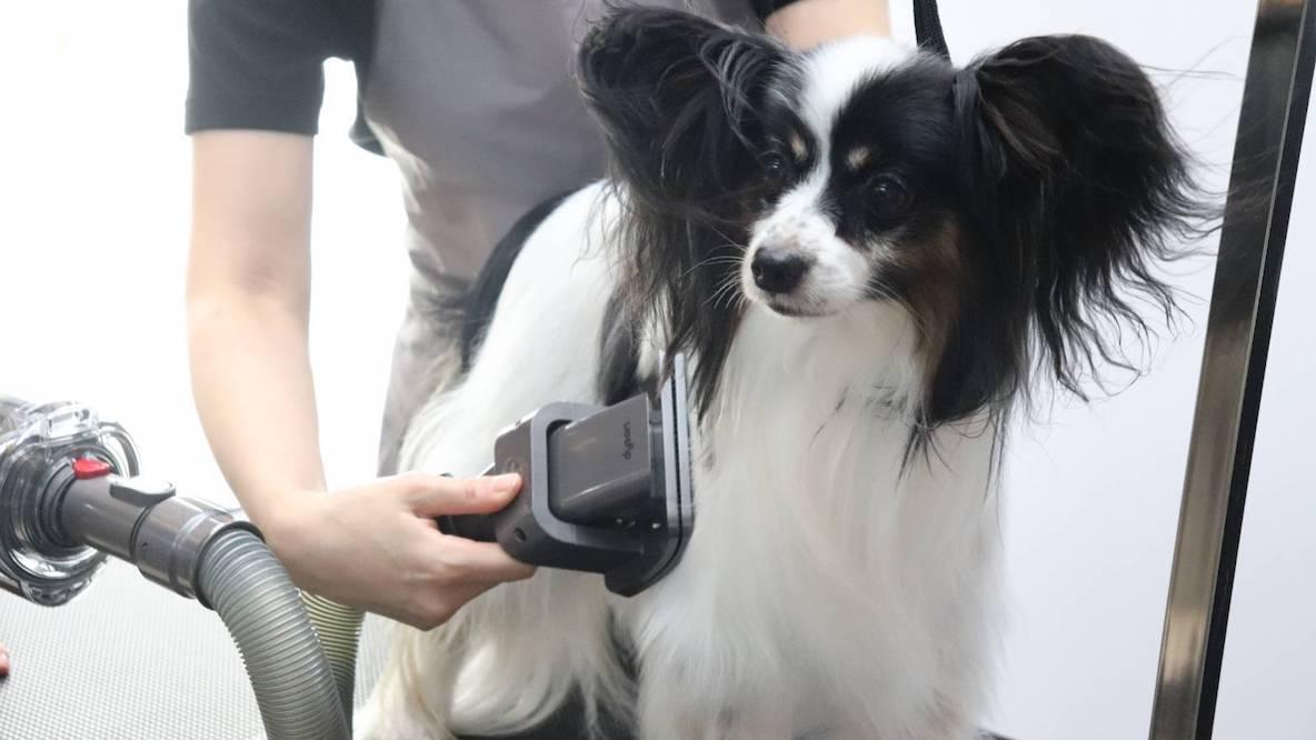 ❤ダイソンよりも使いやすい❣ヘッドに髪の毛がまとわりつかない