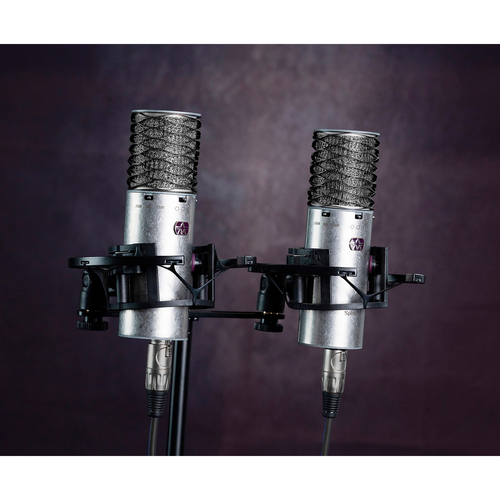 Aston Microphones Spirit とoriginマイク2本セット