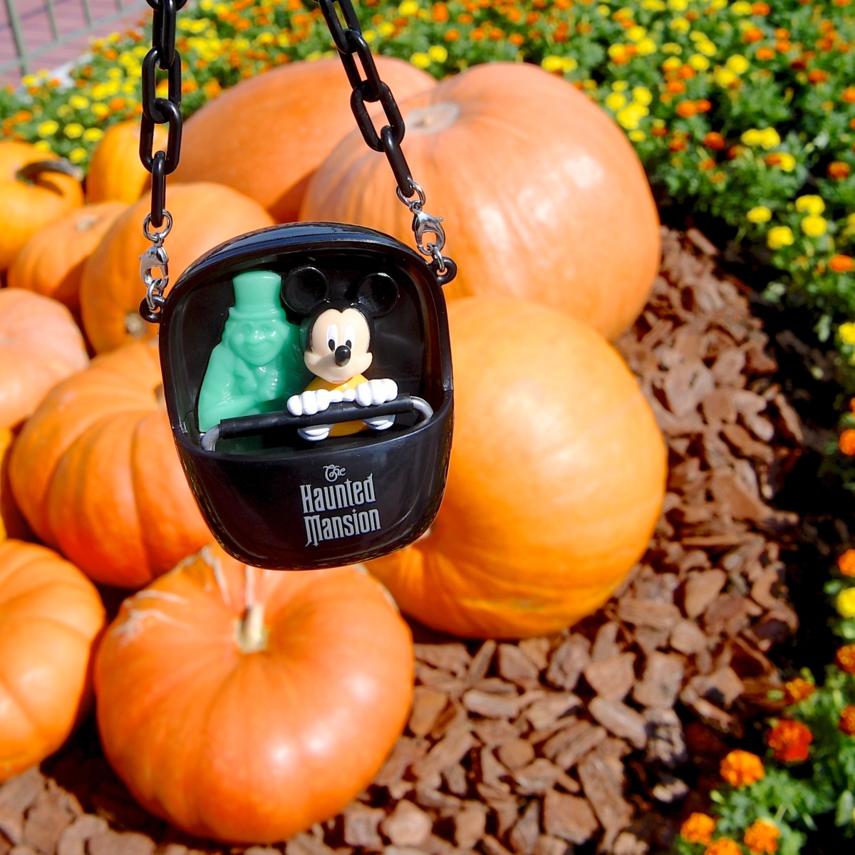 ホーンテッドマンション」デザイン！東京ディズニーランド“ディズニー