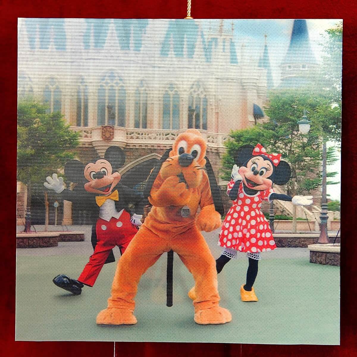 ディズニー イマジニングザマジック 実写 フォトパネル ポスター 額