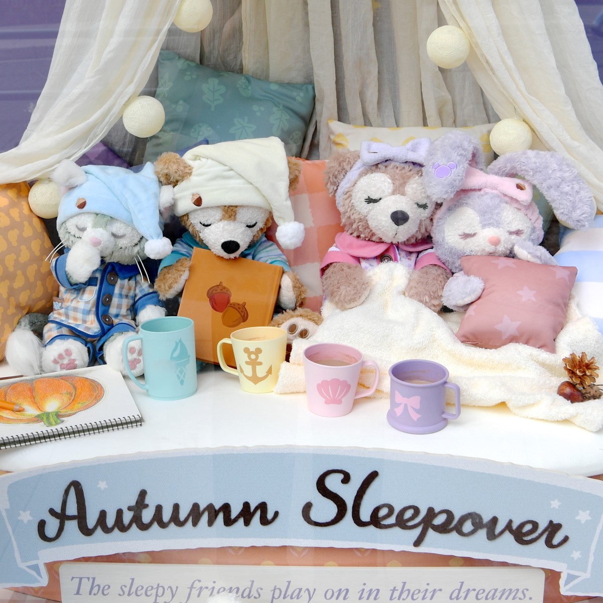 ステラ・ルー☆ジェラトーニ☆オータムスリープオーバーコスチューム