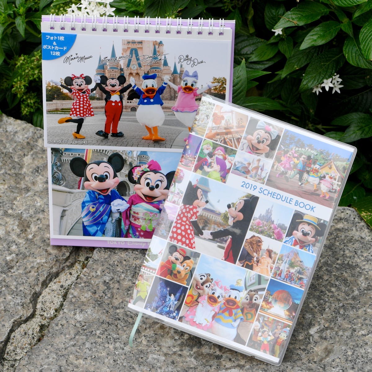 パークファンマップ柄新登場！東京ディズニーランド2019年カレンダー