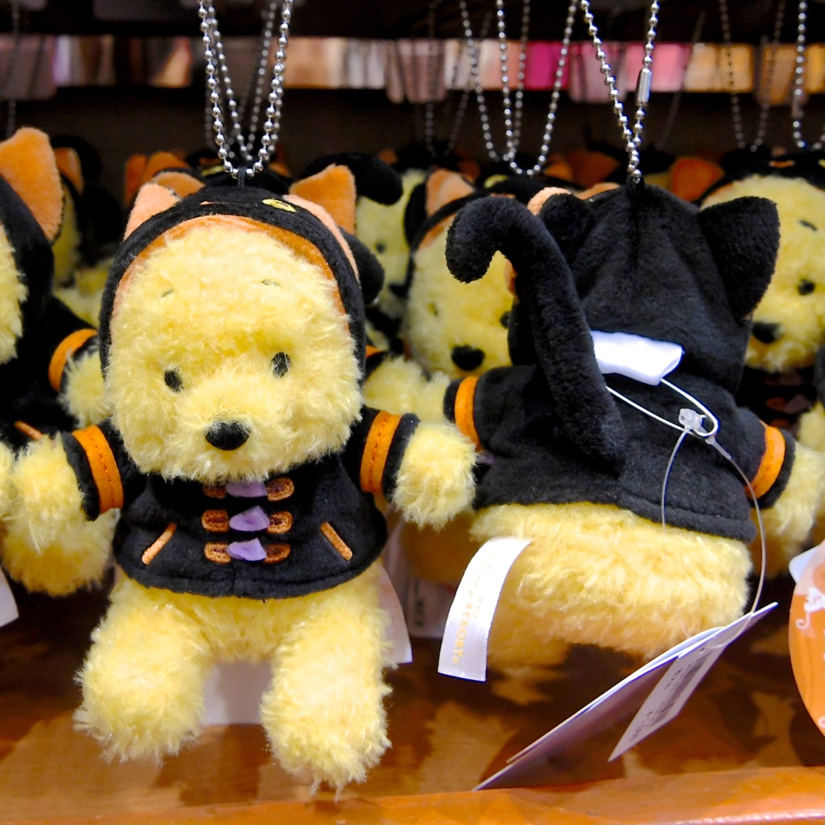 猫ちゃん風コスチューム！東京ディズニーランド“ディズニー