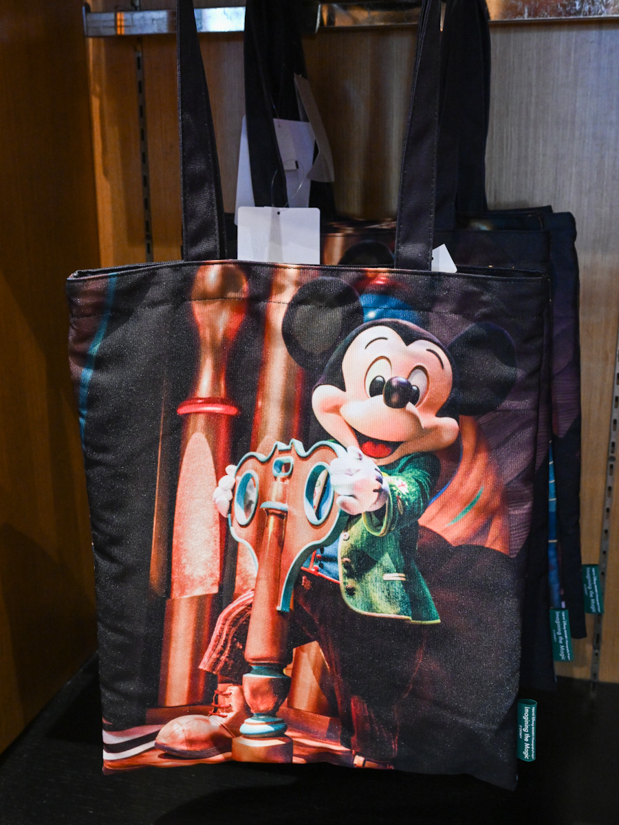 新品未使用 東京ディズニーリゾート イマジニングザマジック 実写