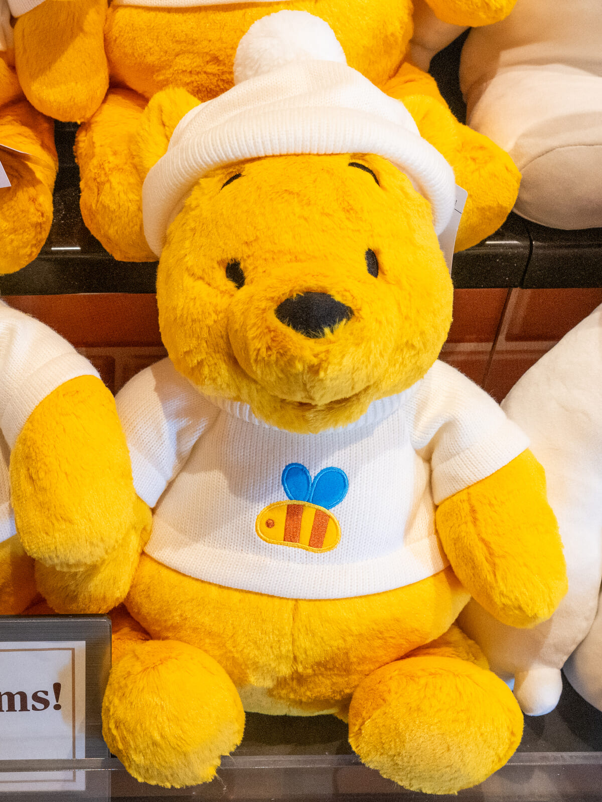 白いニット帽姿がかわいい！東京ディズニーランド「くまのプーさん