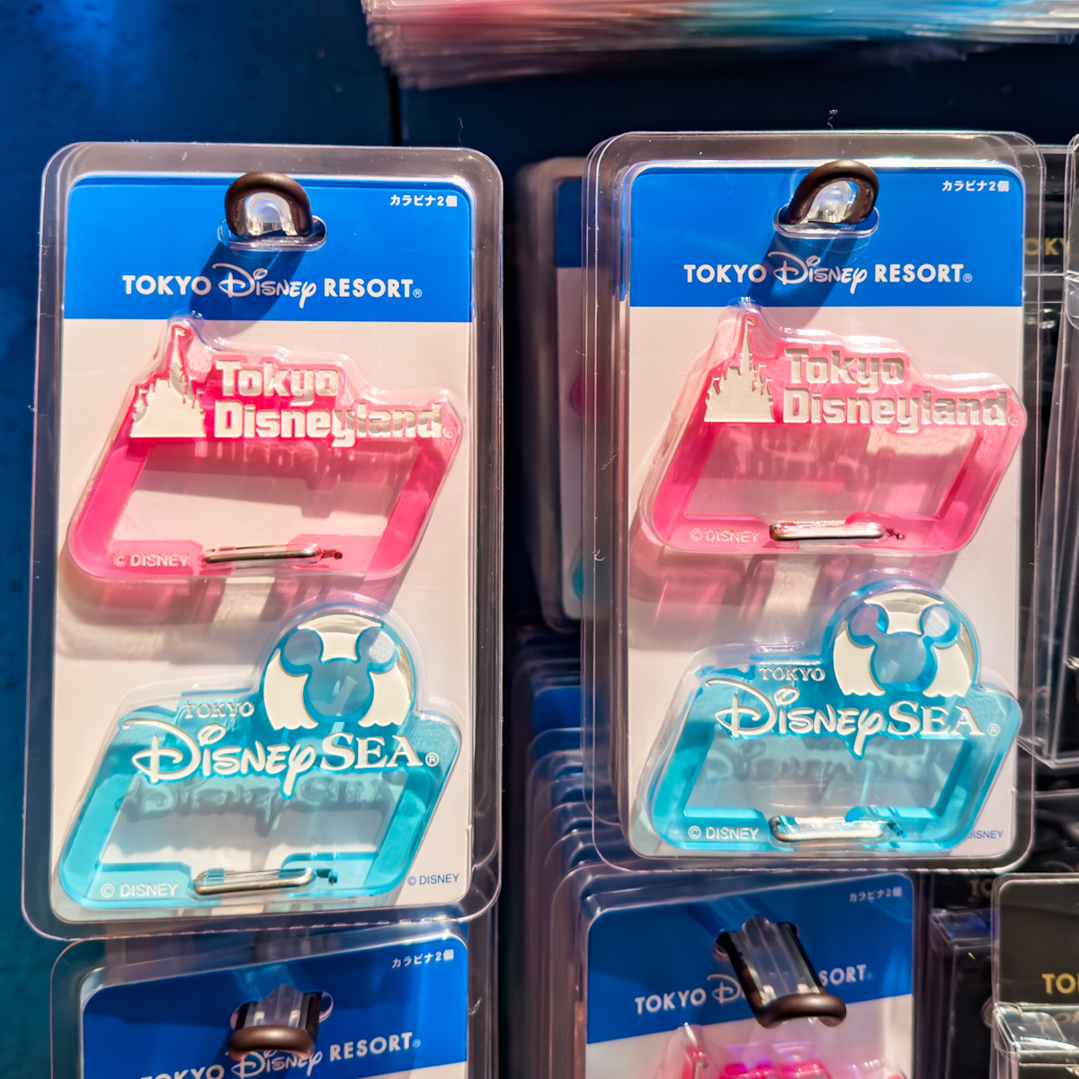 東京ディズニーランド、東京ディズニーシーのロゴデザイン！東京