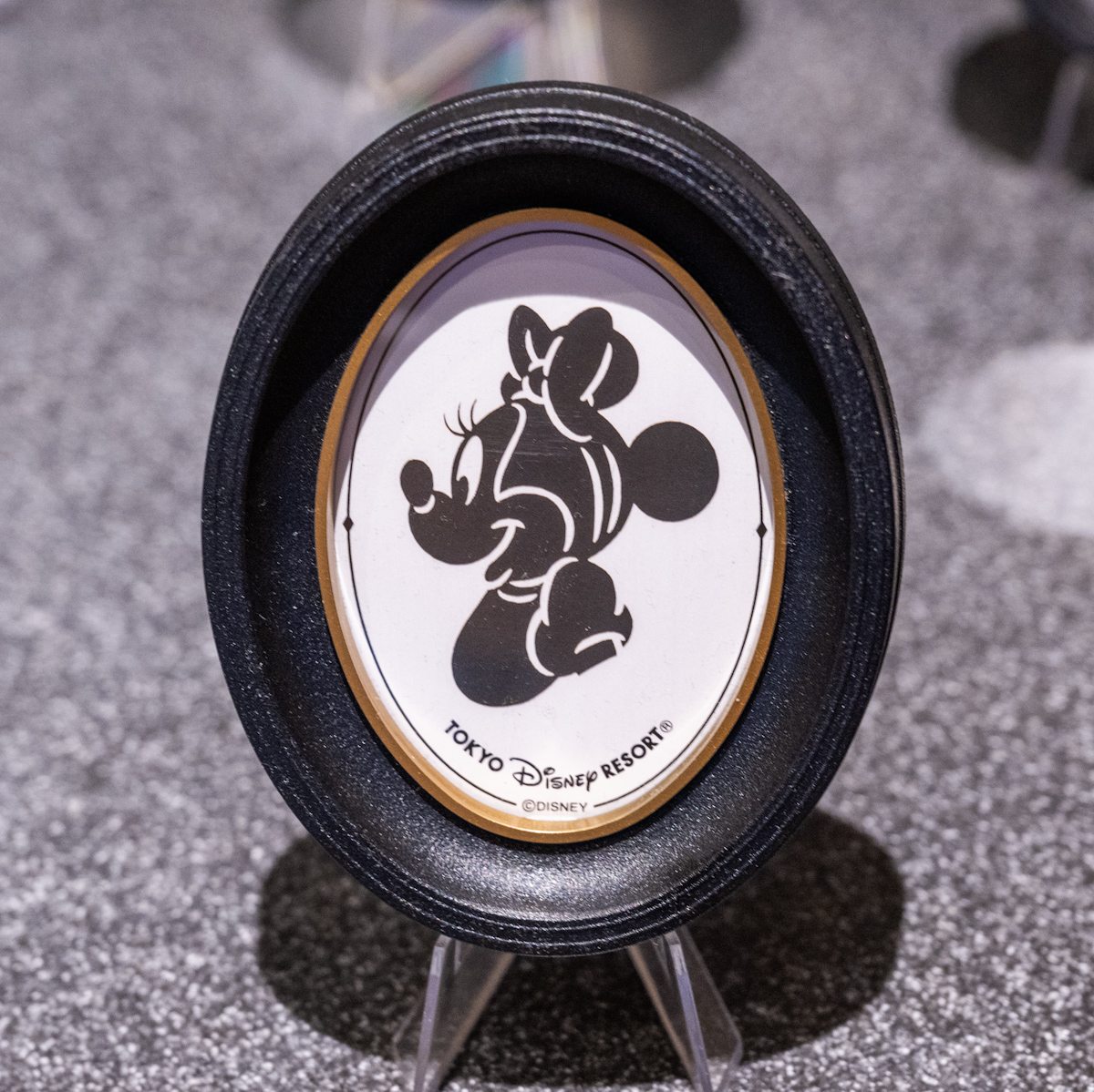 白雪姫、シンバが登場！東京ディズニーランド「シルエットスタジオ