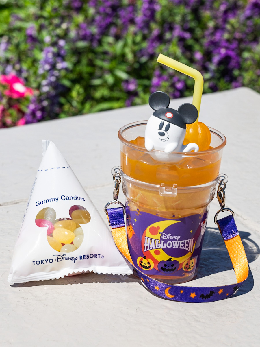 ディズニーリゾート スーベニア スナックケース まとめ売り TDR 19個