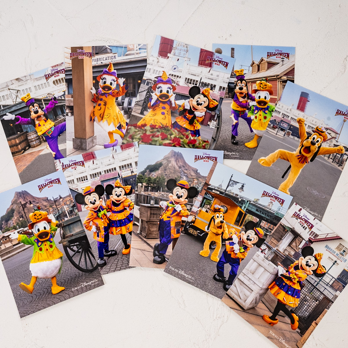 2023年 東京ディズニーリゾート ハロウィンセット 6個入り お菓子で