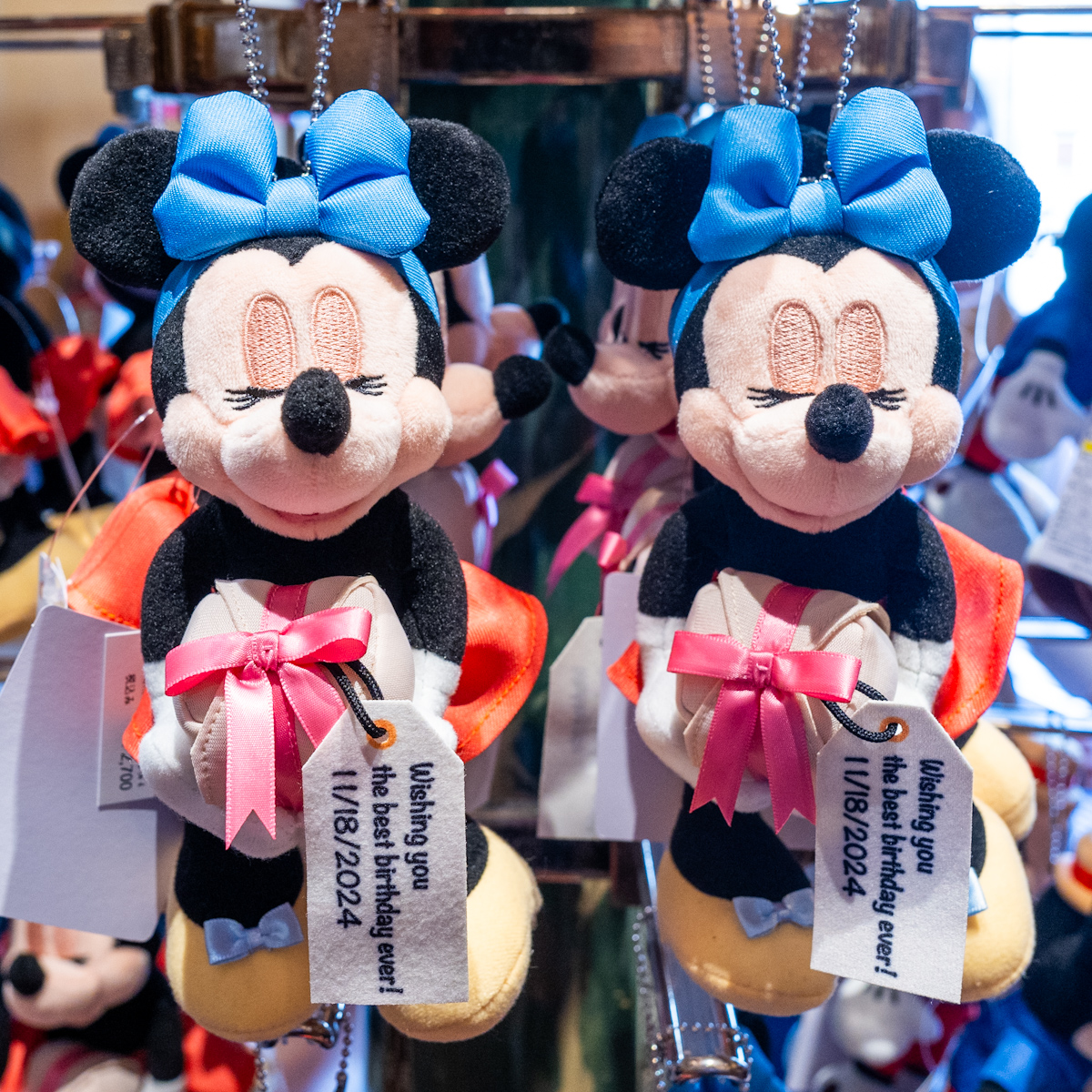 ディズニーリゾート【30周年記念】ミッキー・ミニーぬいぐるみセット