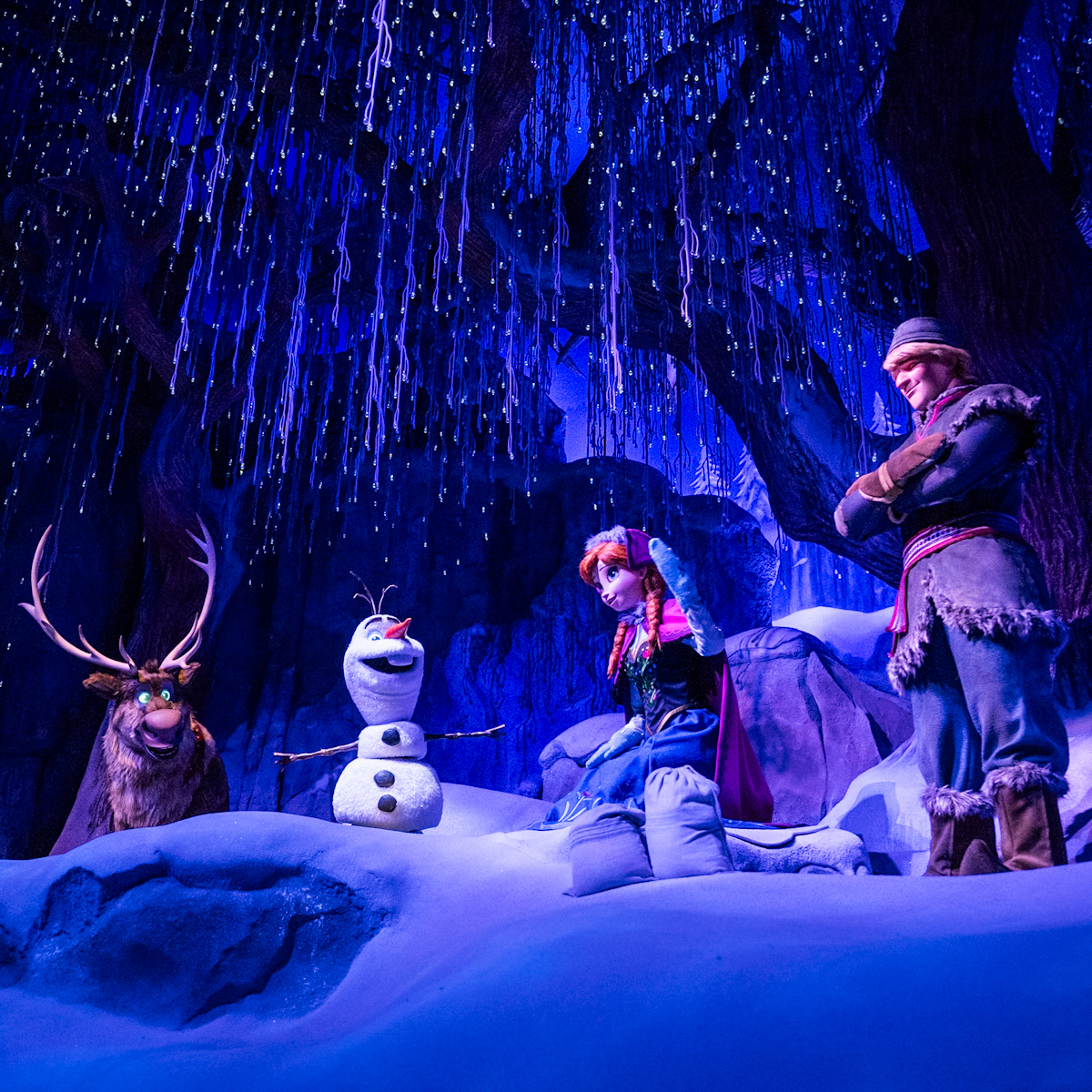 ファンタジースプリングス アートコレクション アートフレーム エルサ