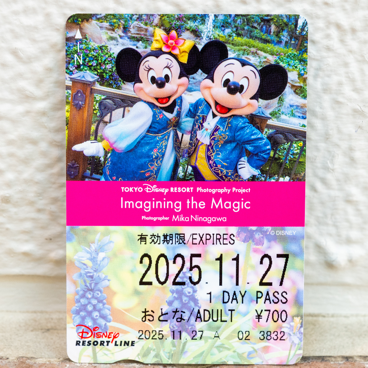 ディズニー リゾートライン フリーきっぷ 謎解きプログラム カード付き