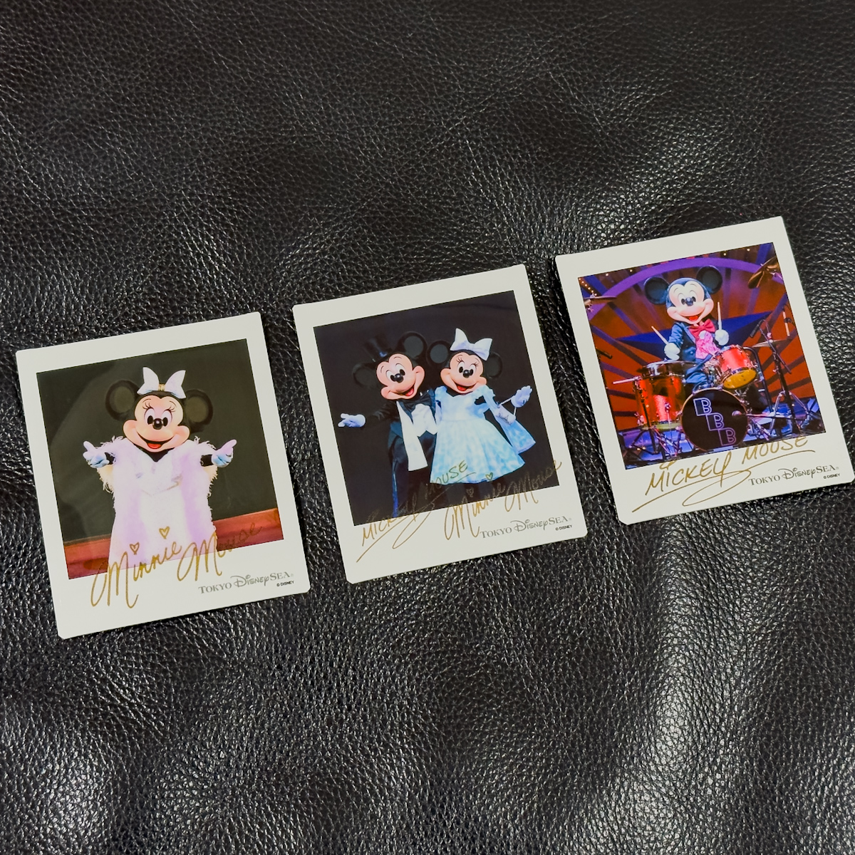 付属のキャラクター写真が毎月変わる！東京ディズニーシー「We Love