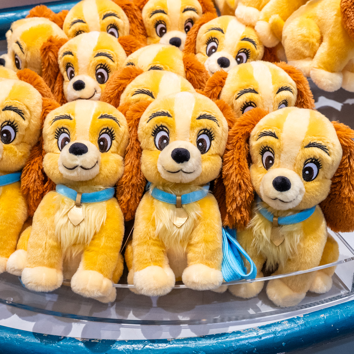 レディ、トランプデザイン！東京ディズニーランド『わんわん物語