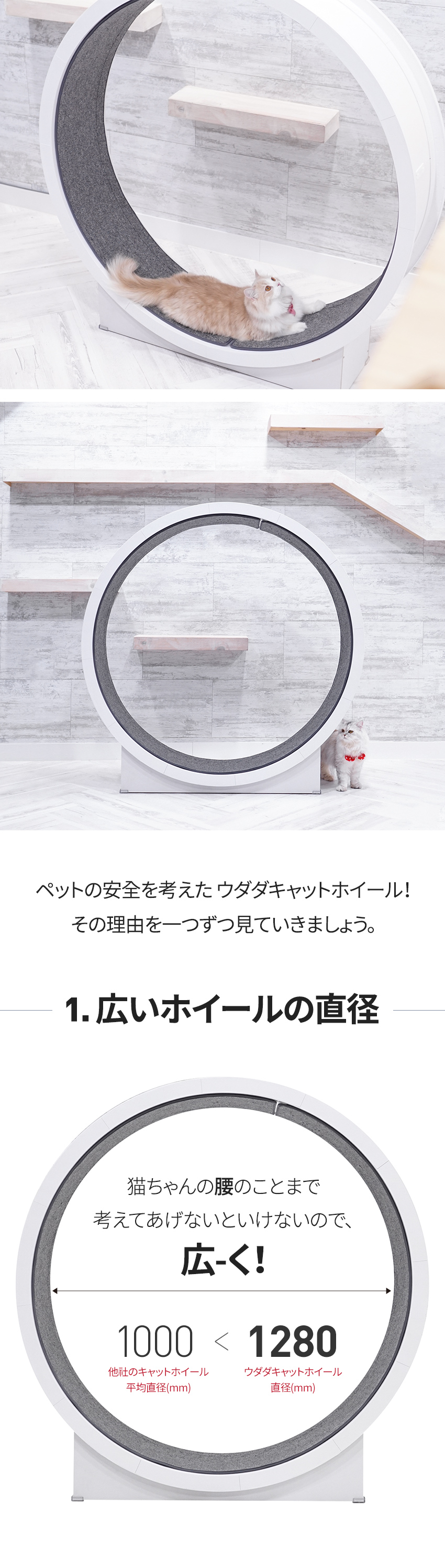 ウダダキャットホイール (woodada cat wheel)