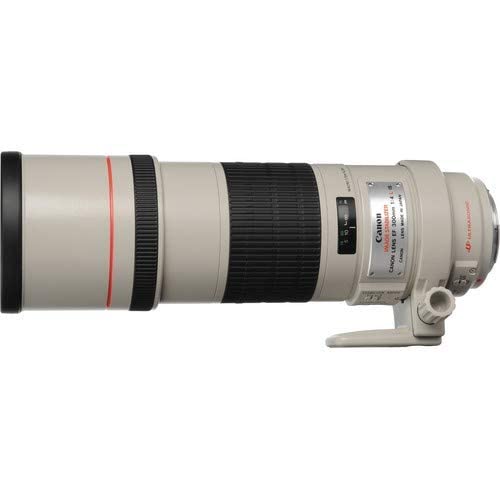 キャノン EF300mm F/4L IS USM (EFレンズ単焦点） Amazon.co.jp: Canon