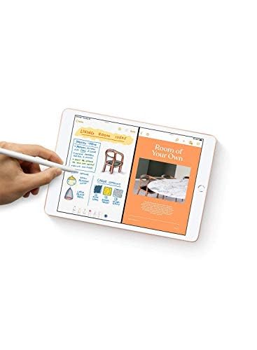 Amazon.com: Apple 2019 Apple iPad, 10.2-inch, Wi-Fi + Cellular