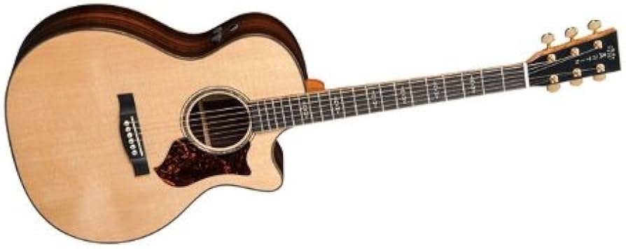 Amazon | Martin Gpcpa1 Plus Grand Performer Acoustic-Electric