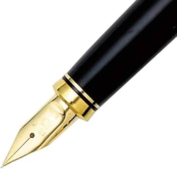 Amazon | プラチナ万年筆 万年筆 美巧 近代蒔絵 鳳凰 細字 PTL-18000M