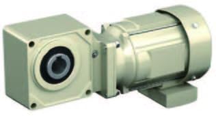 中国古美術✦内府紋 白釉 浮雕 双面龍紋 抱月扁瓶✦置物・書道品