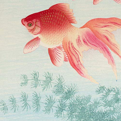 小原古邨「睡蓮に二匹の金魚」本物木版画 小原古邨「睡蓮